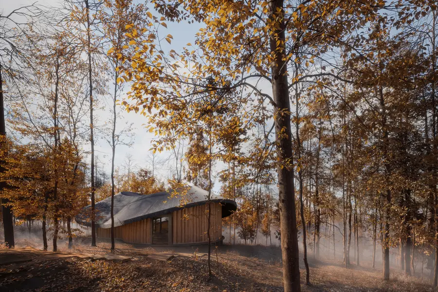 Forest House — Architecture