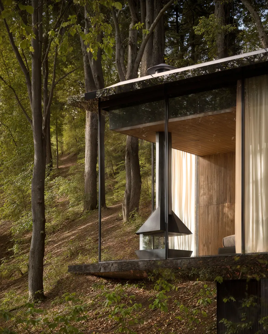 Forest House — Architecture